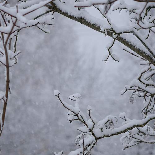 Photo #11705299