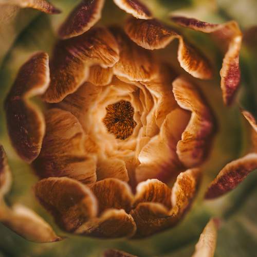 Photo #11705336