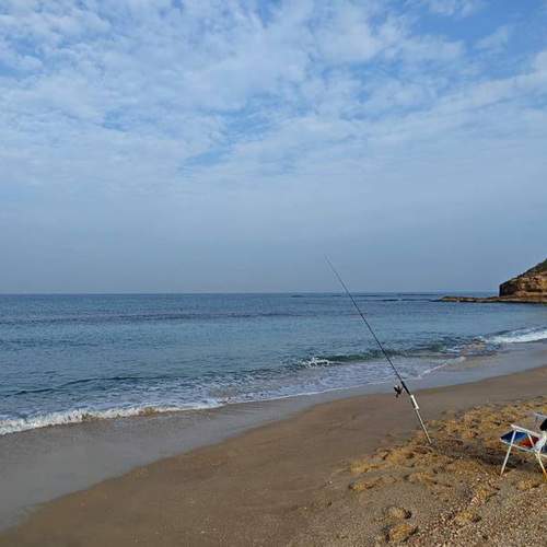 Photo #11705531