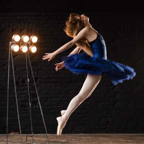 Photo #11705604