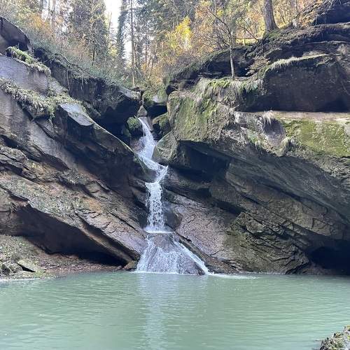Photo #11705605