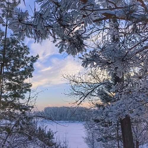 Photo #11705644
