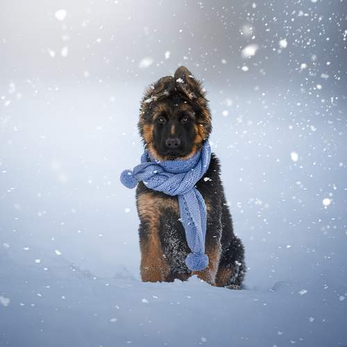 Photo #11705679