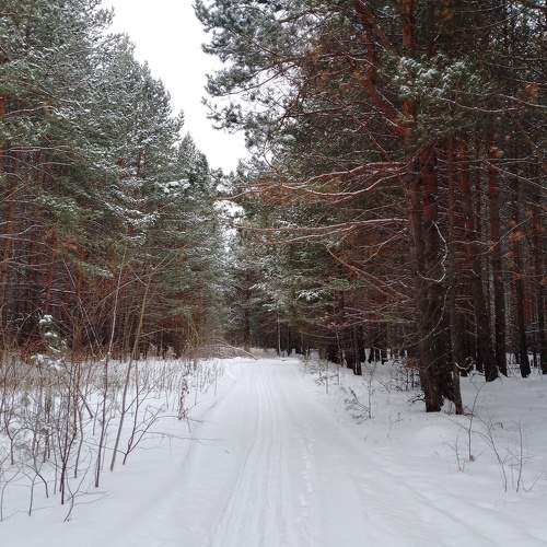 Photo #11705920