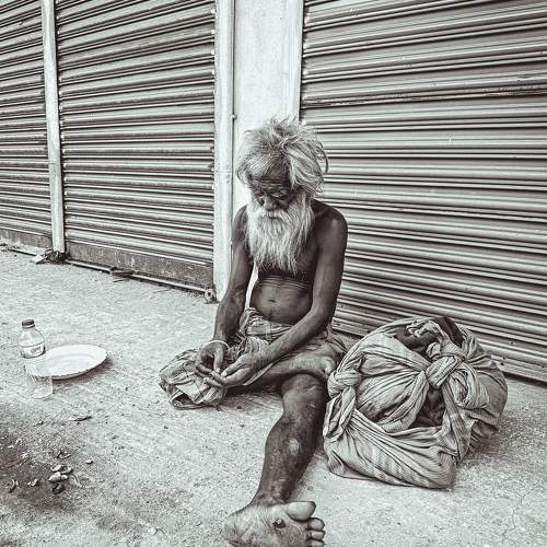 Photo #11706287