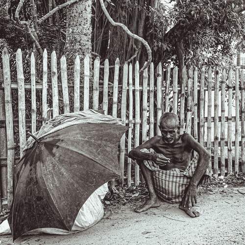Photo #11706288
