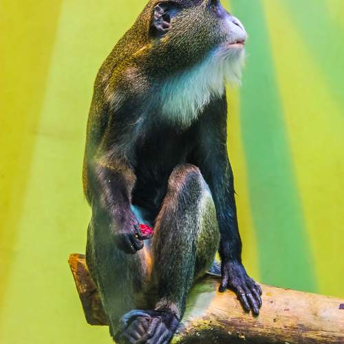 Photo #11706317