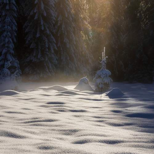 Фотография #11706372