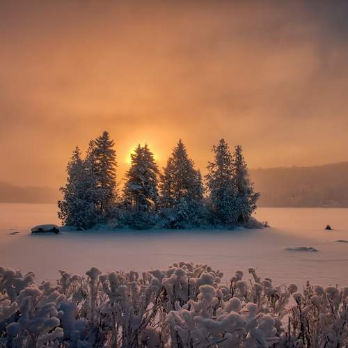 Foggy Sunrise