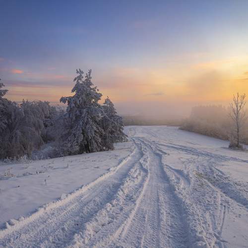 Photo #11706651