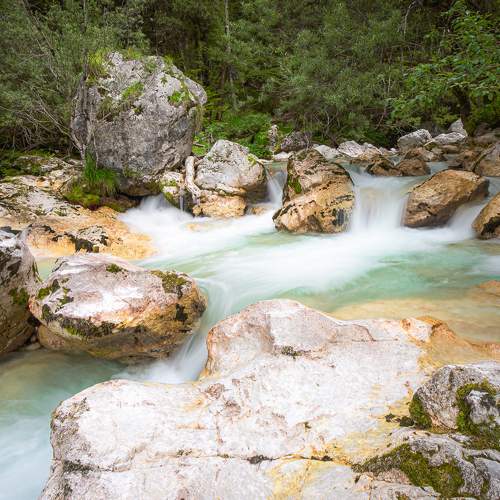 Photo #11706683