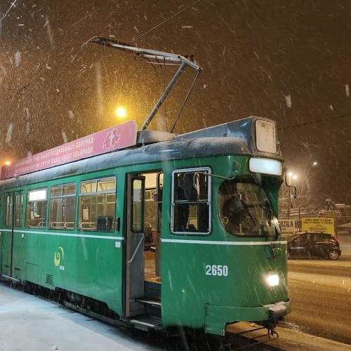 Photo #11706727