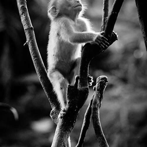 Photo #11706769