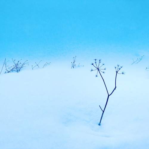 Photo #11706833