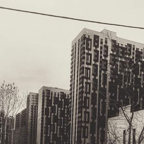 Photo #11706939