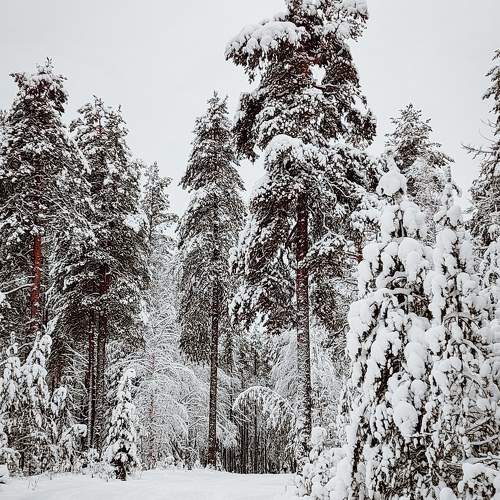 Photo #11707282