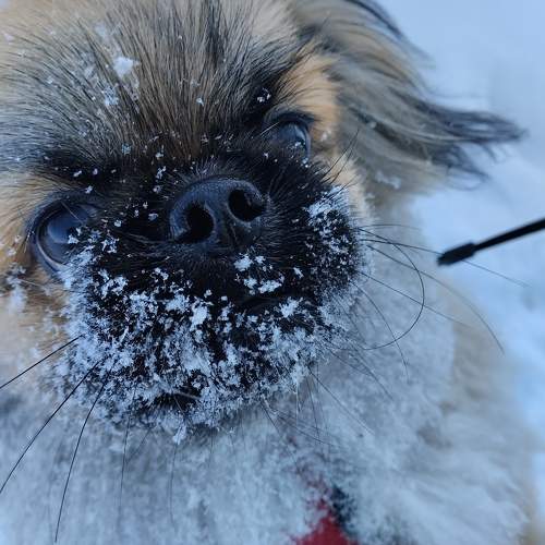 Photo #11707520