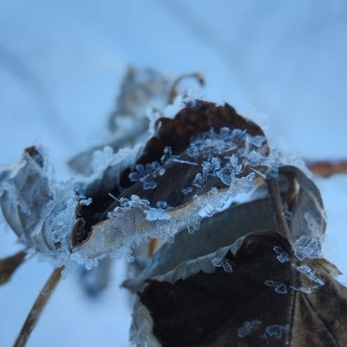 Photo #11707521