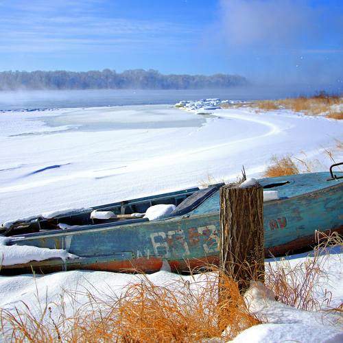 Photo #11707550