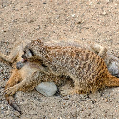 Photo #11707551