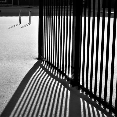 Winter Pool