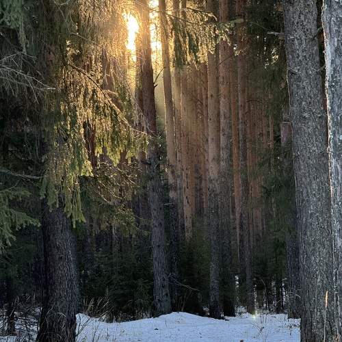 Photo #11707869