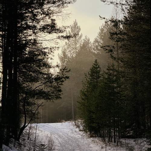Photo #11707870
