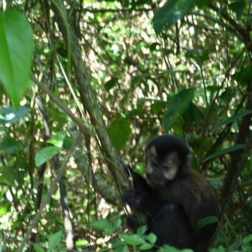 Photo #11707931