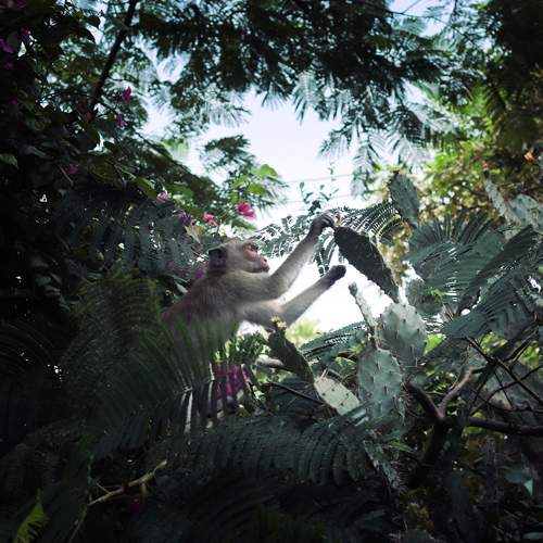 Photo #11708033
