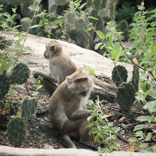 Photo #11708039