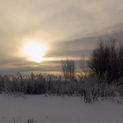 Photo #11708119