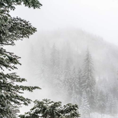 Photo #11708574