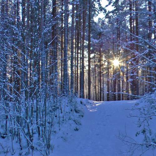 Photo #11708619