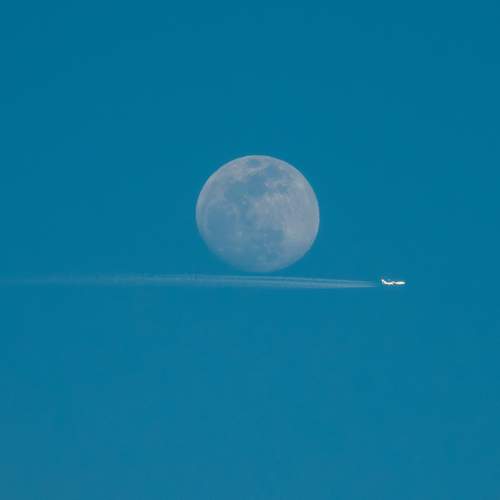 Photo #11708620