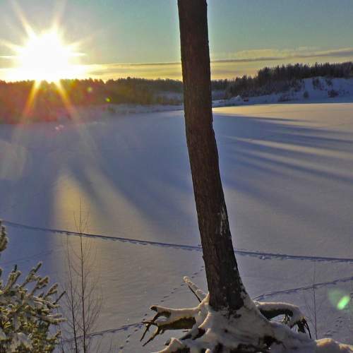 Photo #11708623