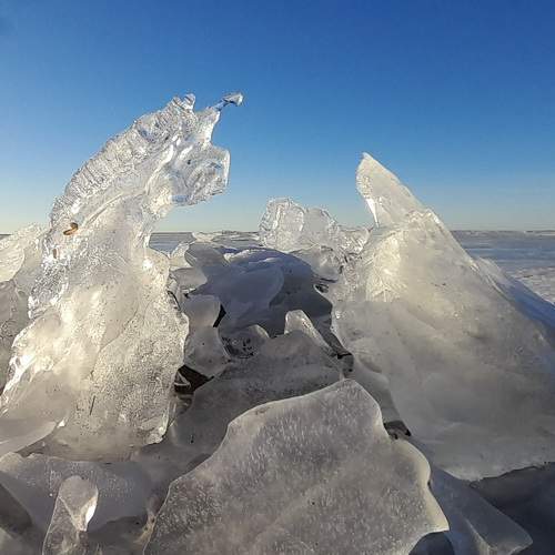 Photo #11708631