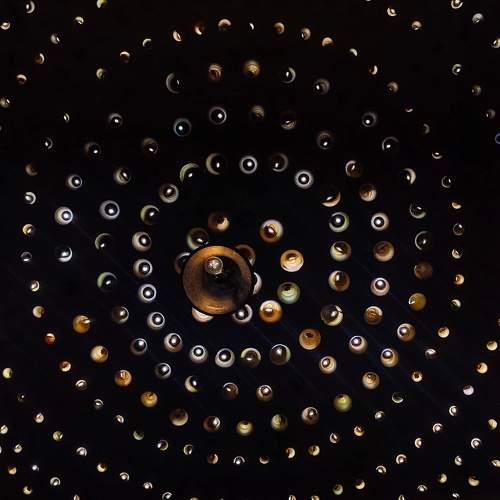 Photo #11708647