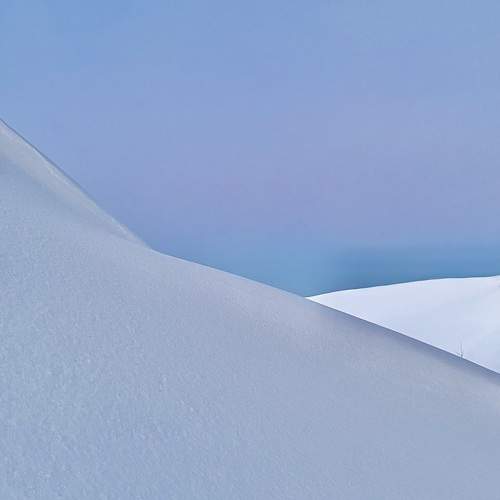 Photo #11708768