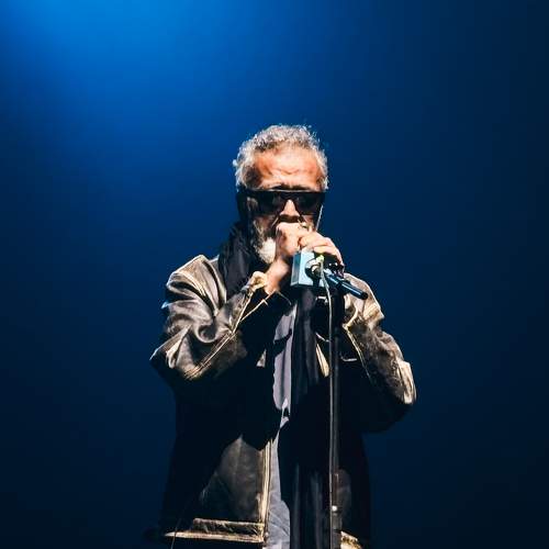 Photo #11709250