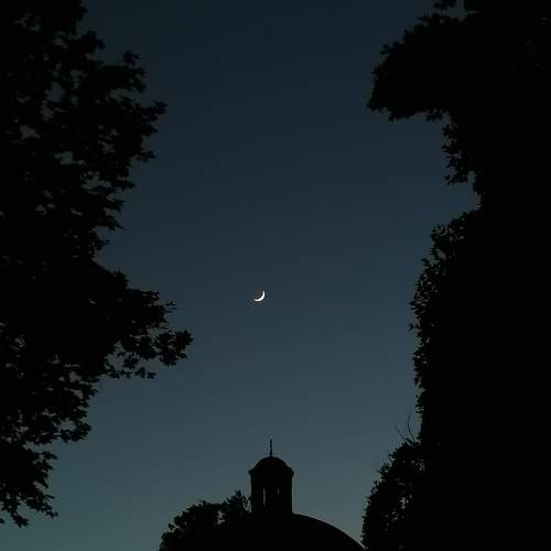Photo #11709265