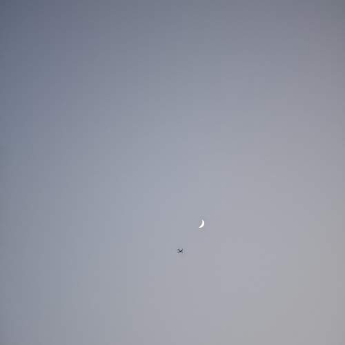 Photo #11709635