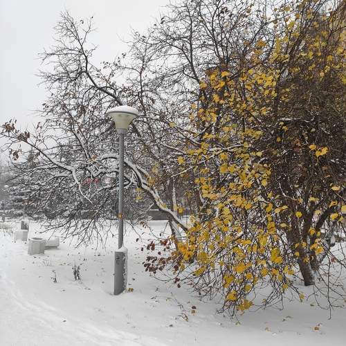 Photo #11709800