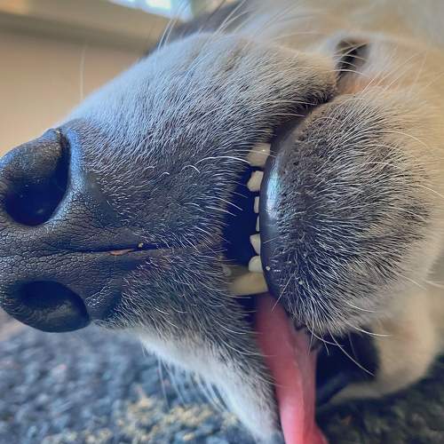 Photo #11709879