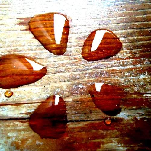 Photo #11710013
