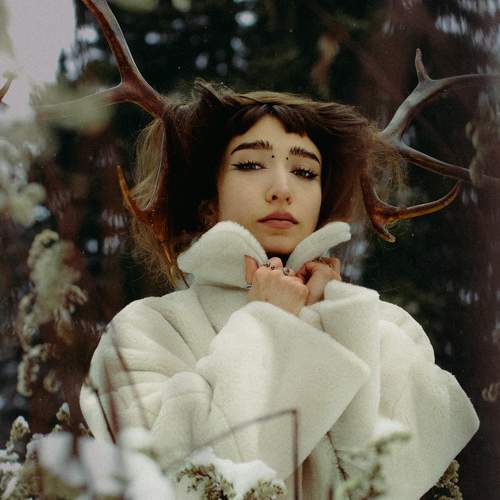 Photo #11710066