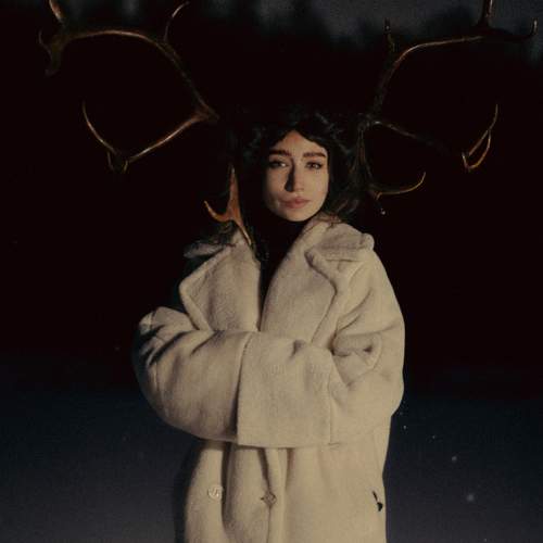 Photo #11710071