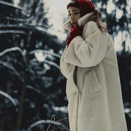 Photo #11710072
