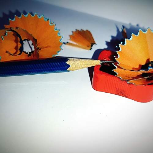 Photo #11710074