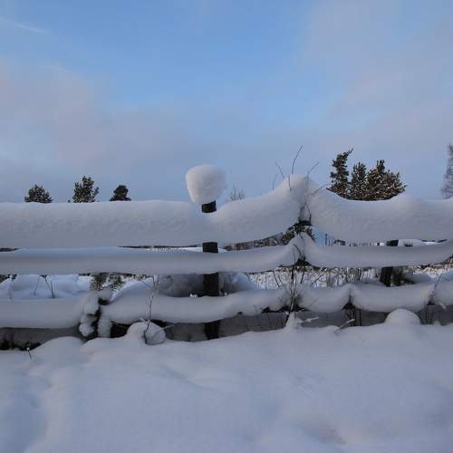 Photo #11710105