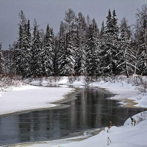 Photo #11710108